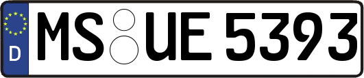 MS-UE5393