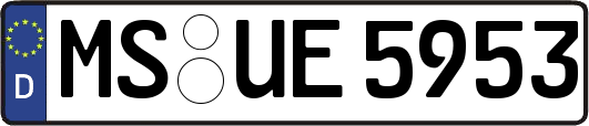 MS-UE5953