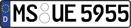 MS-UE5955