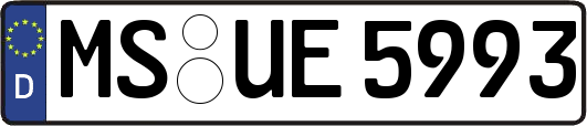 MS-UE5993