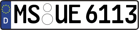 MS-UE6113