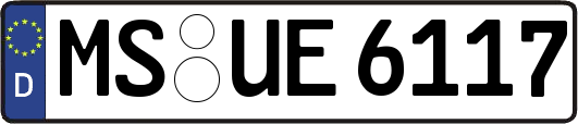 MS-UE6117