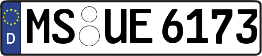 MS-UE6173
