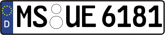 MS-UE6181