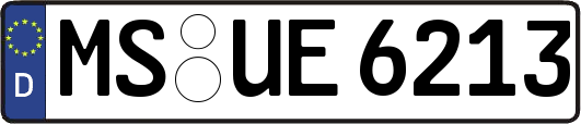 MS-UE6213