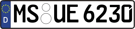 MS-UE6230