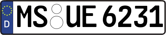 MS-UE6231