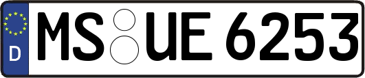 MS-UE6253