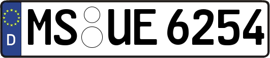 MS-UE6254