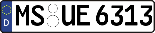 MS-UE6313