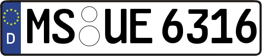 MS-UE6316