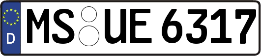 MS-UE6317