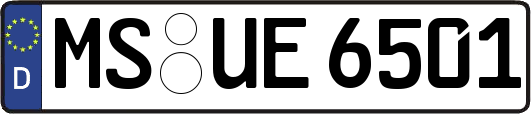 MS-UE6501
