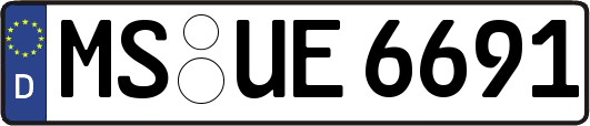 MS-UE6691