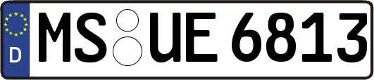 MS-UE6813