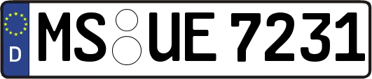 MS-UE7231