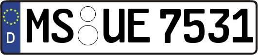 MS-UE7531