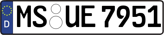 MS-UE7951