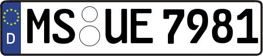 MS-UE7981