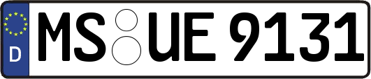 MS-UE9131