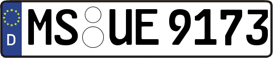 MS-UE9173