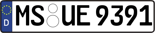 MS-UE9391
