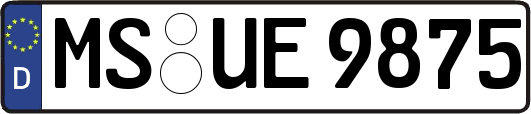 MS-UE9875