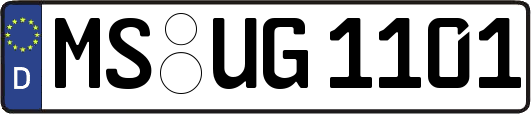 MS-UG1101