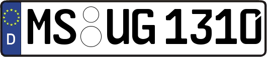 MS-UG1310