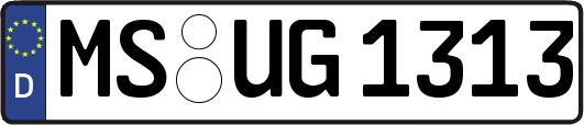 MS-UG1313