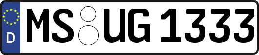 MS-UG1333