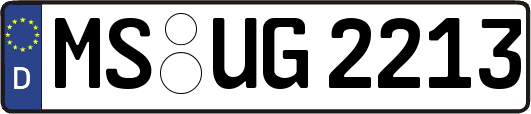 MS-UG2213