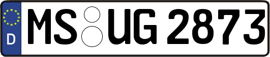 MS-UG2873