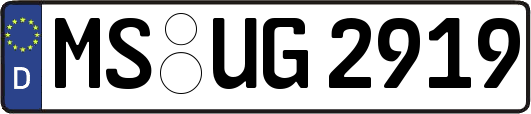 MS-UG2919