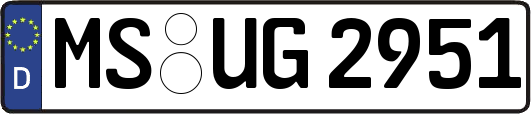 MS-UG2951