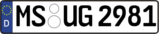 MS-UG2981