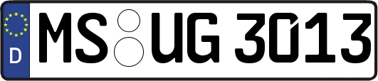 MS-UG3013