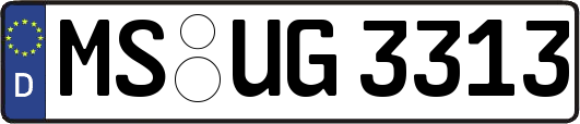 MS-UG3313