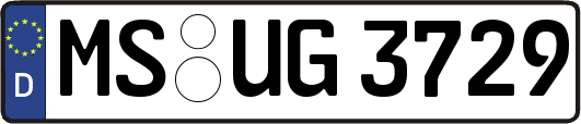 MS-UG3729