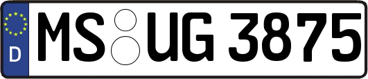 MS-UG3875