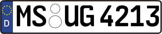 MS-UG4213