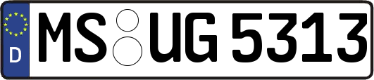 MS-UG5313