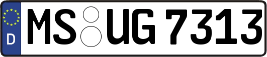 MS-UG7313