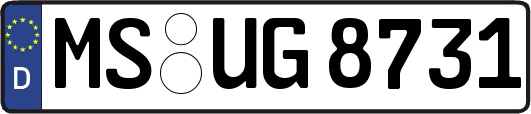MS-UG8731