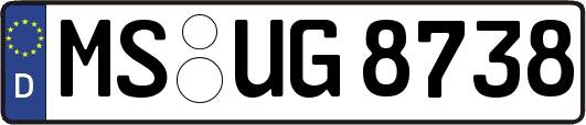 MS-UG8738