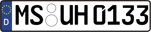 MS-UH0133