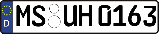 MS-UH0163