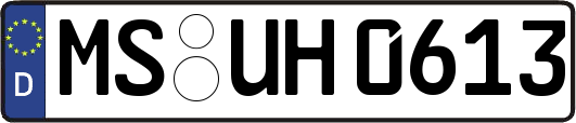 MS-UH0613