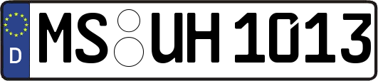 MS-UH1013
