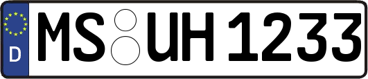 MS-UH1233